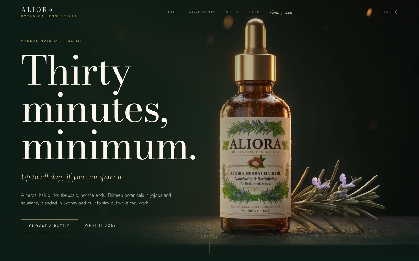 Website — Home