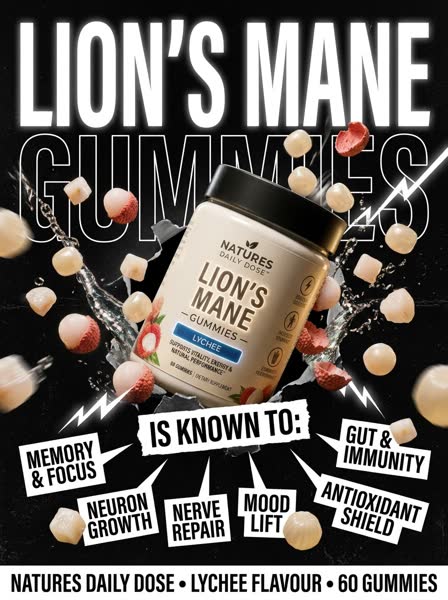 Lion's Mane advertisement — Brutalist